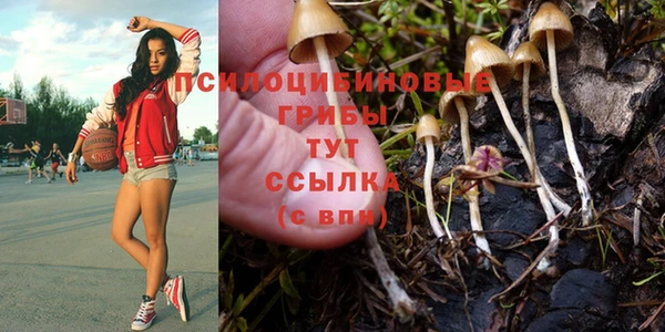 а пвп мука Баксан