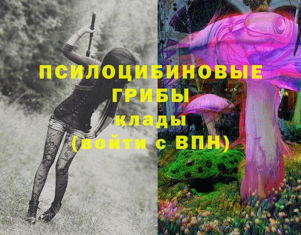 2c-b Балабаново